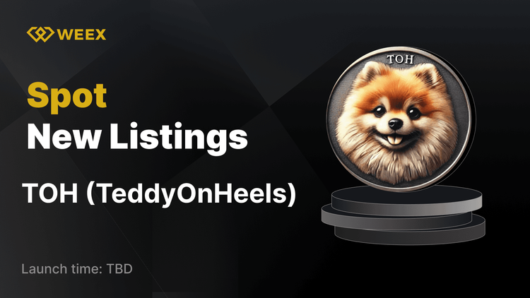 TeddyOnHeels (TOH) Now Listed on WEEX and TOH USDT Pair Trading Begins